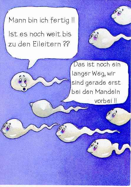 error displaying image