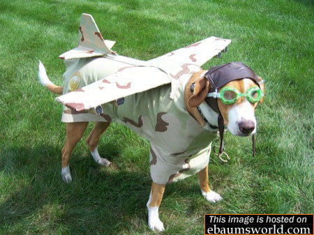 error displaying image