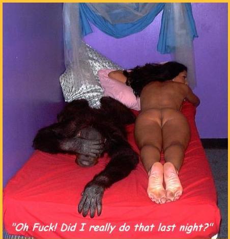 error displaying image