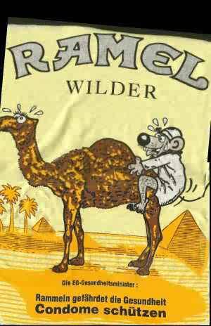 error displaying image