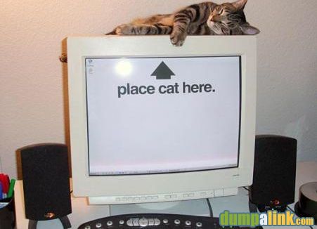 error displaying image