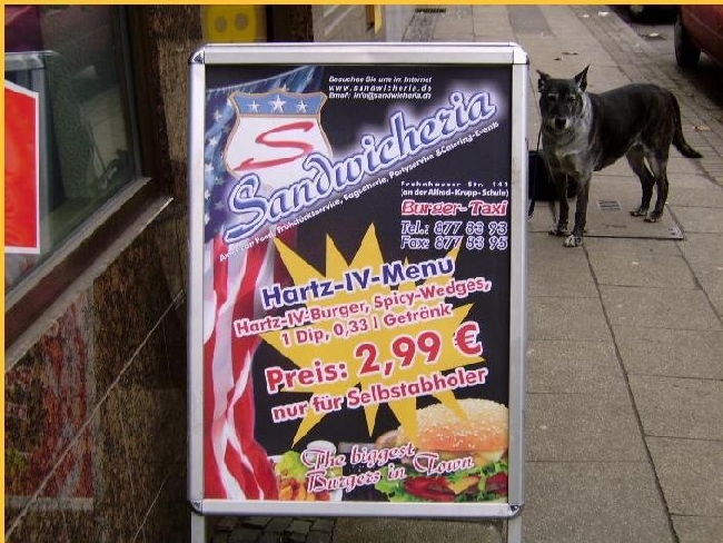 error displaying image