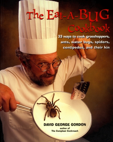 error displaying image