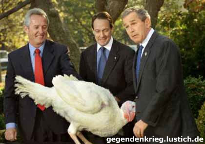 error displaying image