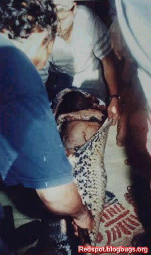 error displaying image