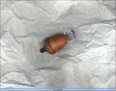 error displaying image