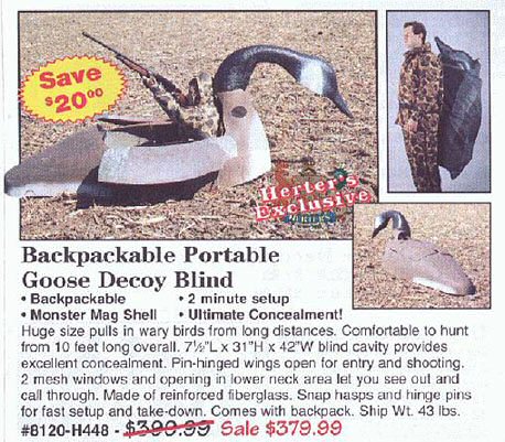 error displaying image