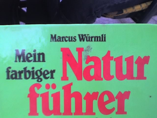 error displaying image