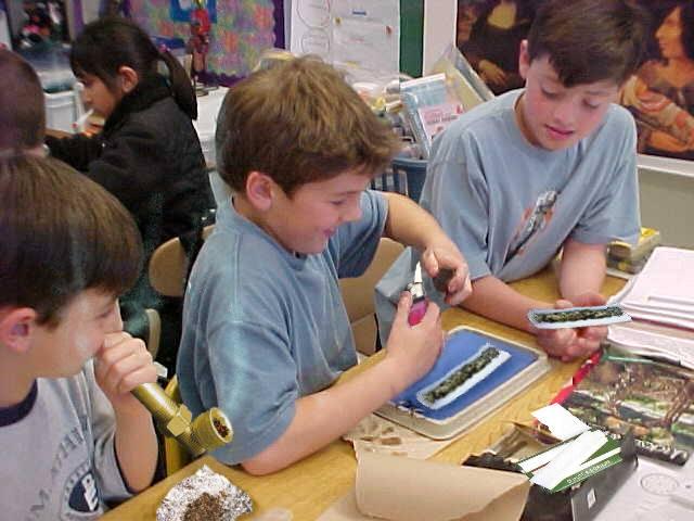 error displaying image