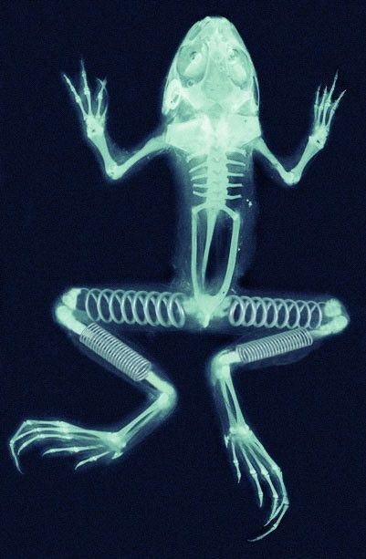 error displaying image