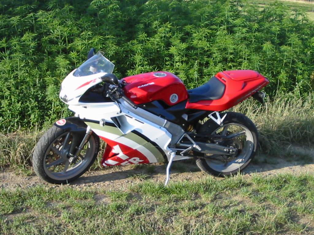 error displaying image