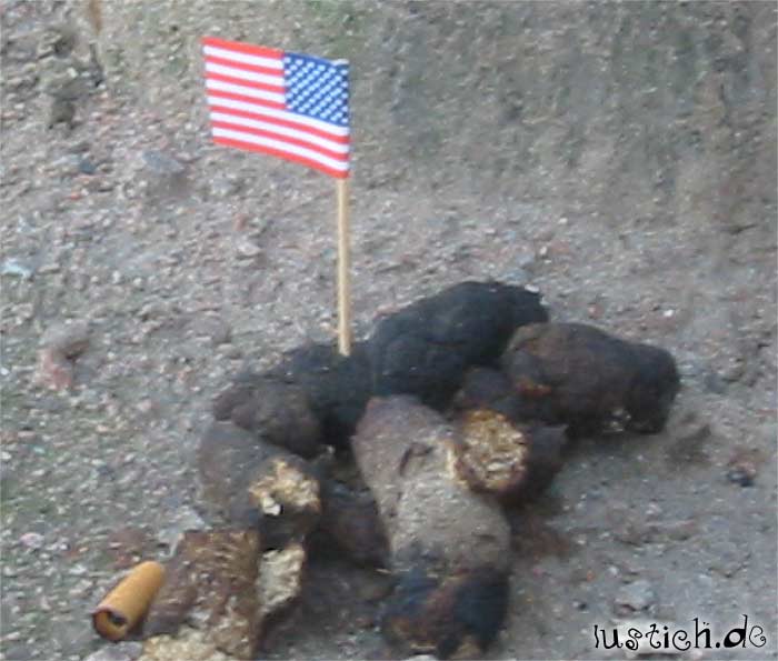 error displaying image