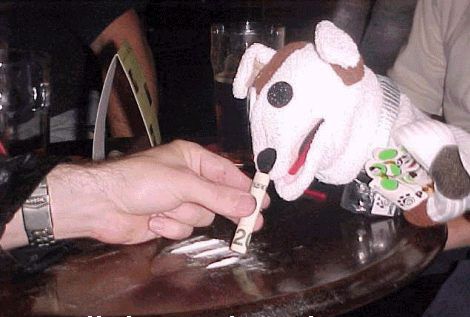 error displaying image