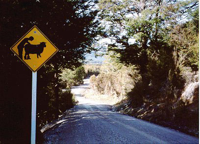 error displaying image