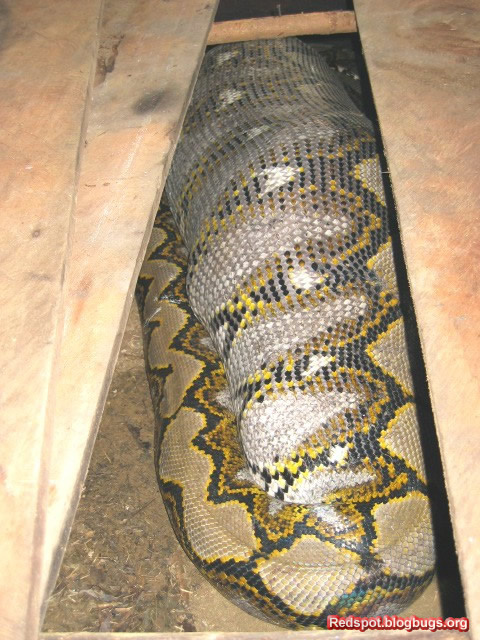 error displaying image