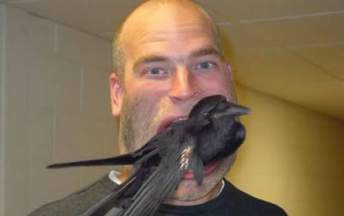 error displaying image