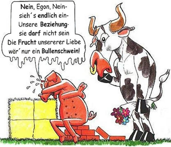 error displaying image