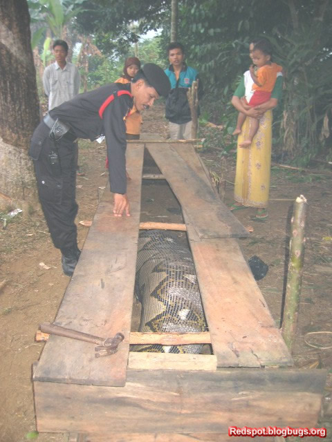 error displaying image