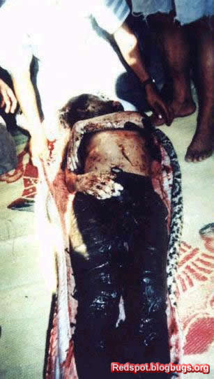 error displaying image