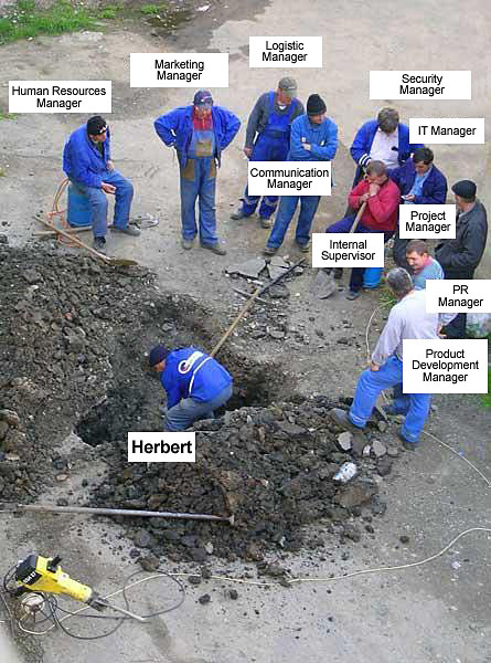 error displaying image