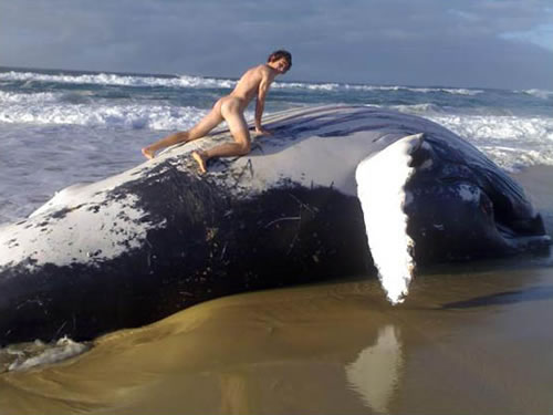 error displaying image