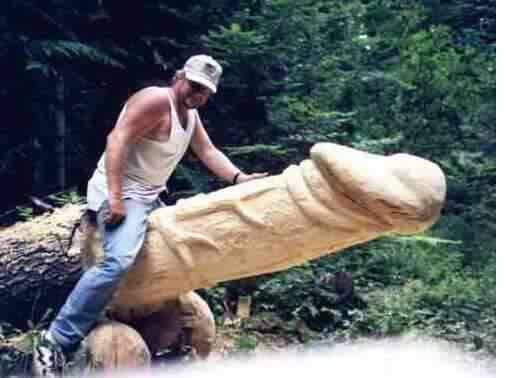 error displaying image