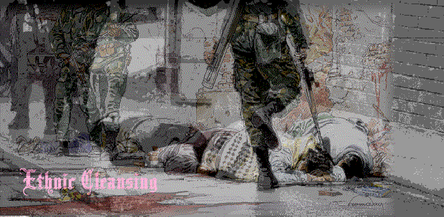 error displaying image