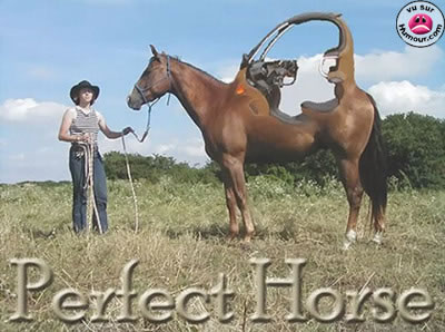 error displaying image