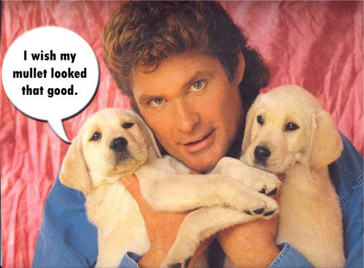 error displaying image