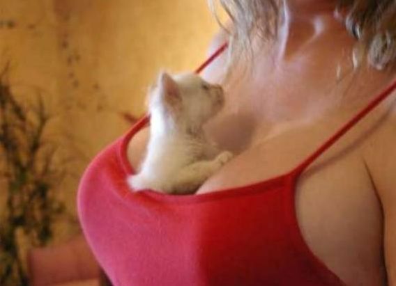 error displaying image