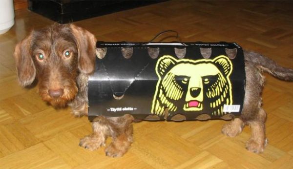 error displaying image