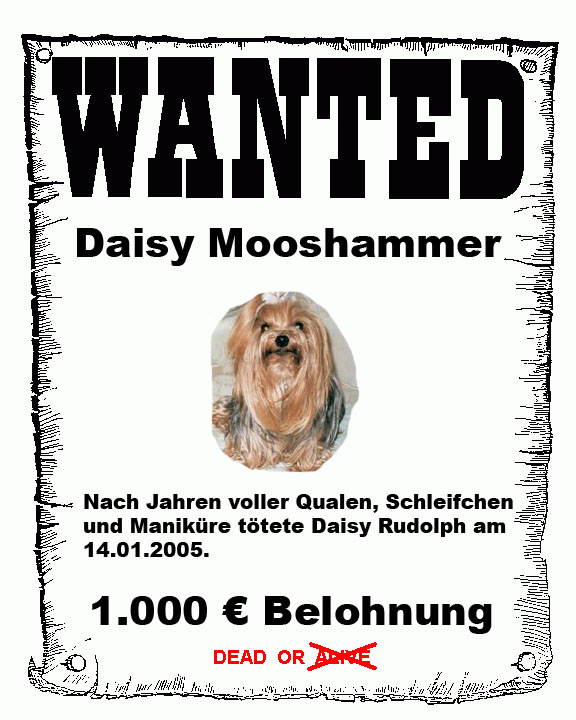 error displaying image