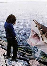 error displaying image