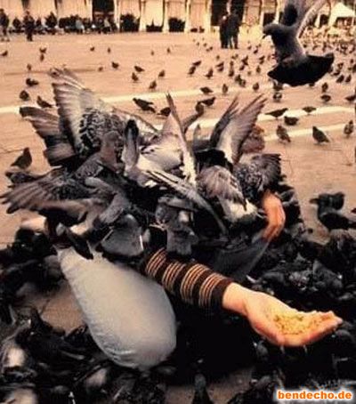 error displaying image