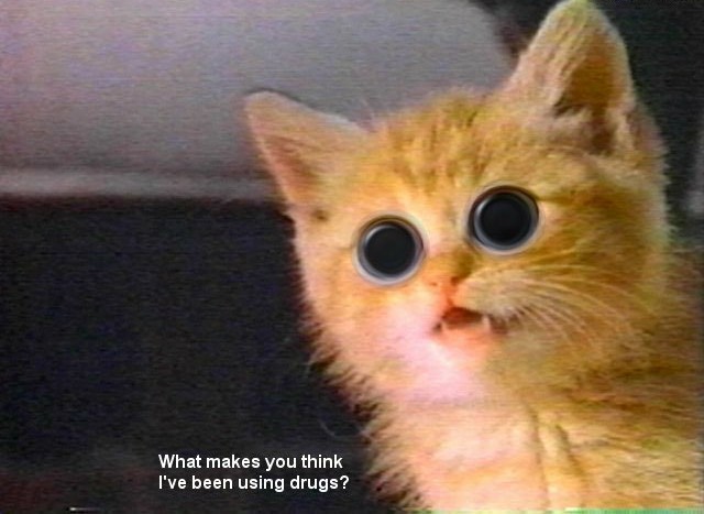 error displaying image