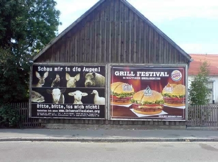 error displaying image