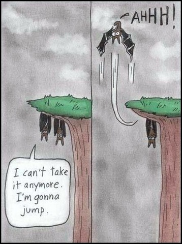 error displaying image